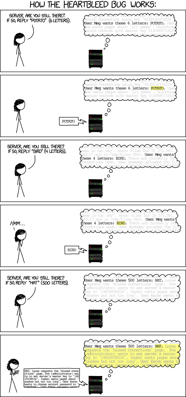 Photo by xkcd: Heartbleed Explanation